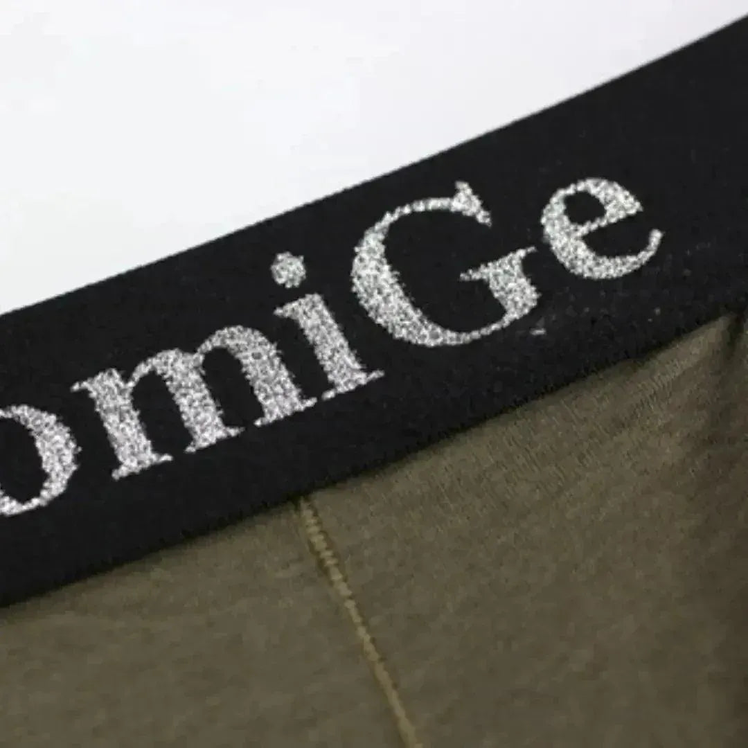 DomiGe DomiGe Men's Mid-Rise Jade Silk Male Boxers Shorts