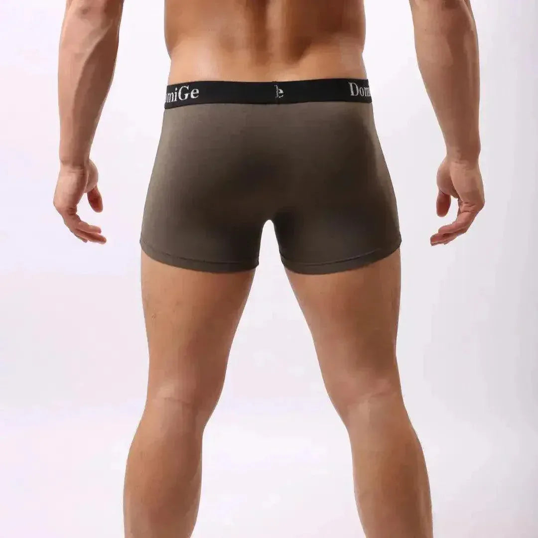 DomiGe DomiGe Men's Mid-Rise Jade Silk Male Boxers Shorts