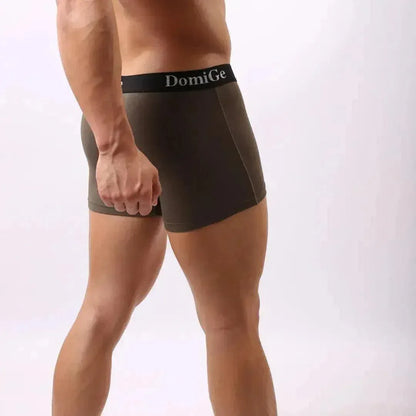 DomiGe DomiGe Men's Mid-Rise Jade Silk Male Boxers Shorts