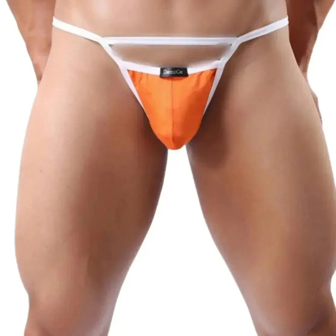 DomiGe DomiGe Men's Modal Thong Sleek Pouch Skybridge Undies for Men