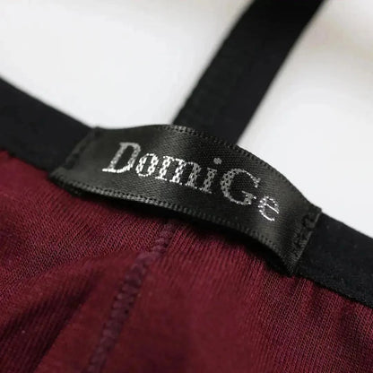 DomiGe DomiGe Men's Modal Thong Sleek Pouch Skybridge Undies for Men