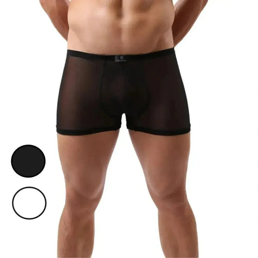 DomiGe DomiGe Men's Sheer Boxer Shorts - Mesh Underwear for Men