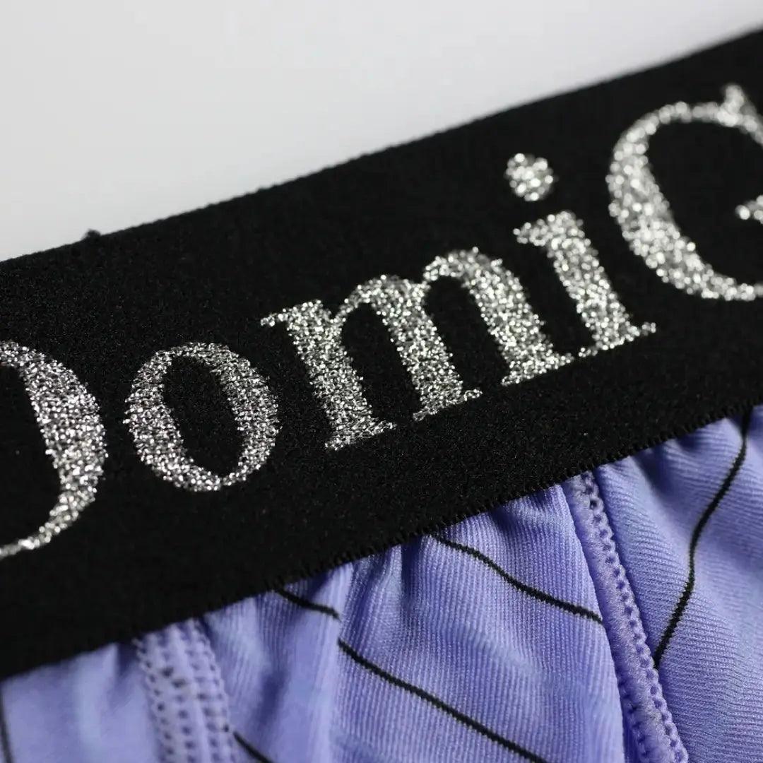 DomiGe DomiGe Men's Striped Trunks Ice Silk Pouch Male Sexy Underwear