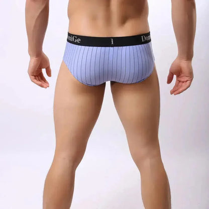 DomiGe DomiGe Men's Striped Trunks Ice Silk Pouch Male Sexy Underwear