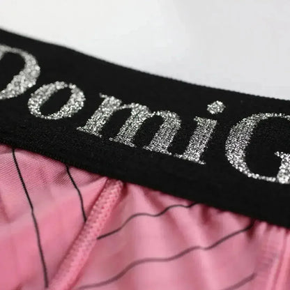 DomiGe DomiGe Men's Striped Trunks Ice Silk Pouch Male Sexy Underwear