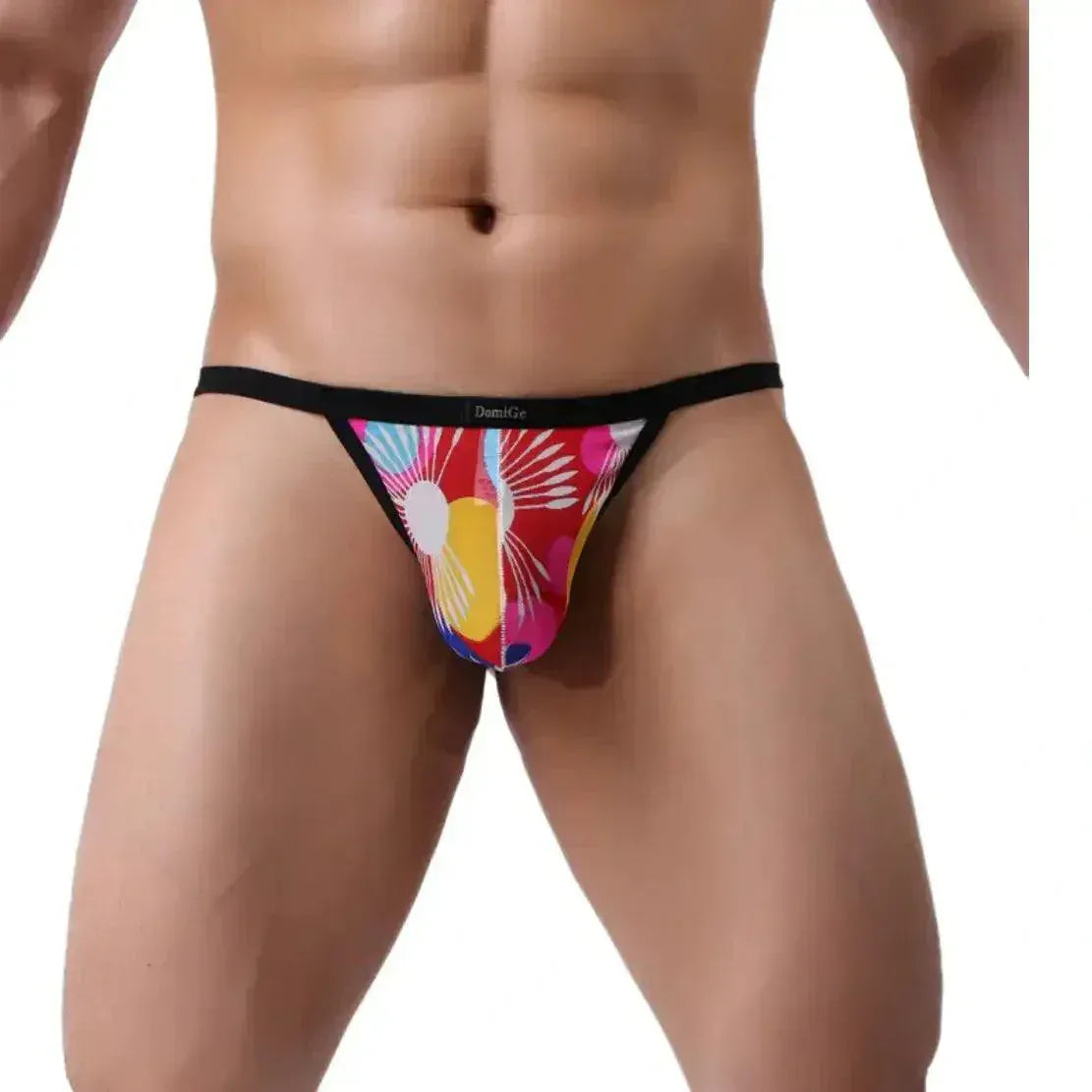 DomiGe DomiGe Men's T-Back Thongs Underwear Sexy Undies Lycra