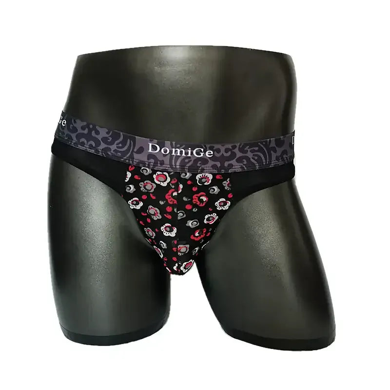 DomiGe DomiGe Men's Thongs Mesh Briefs Modal Sexy Bikini Underwear