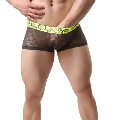 DomiGe DomiGe Mesh Boxers Net Sexy Male Underwear for Men