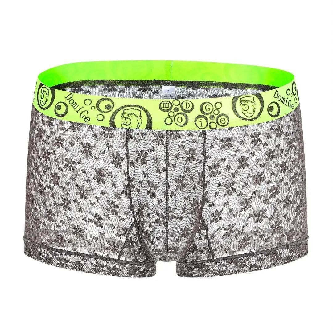 DomiGe DomiGe Mesh Boxers Net Sexy Male Underwear for Men