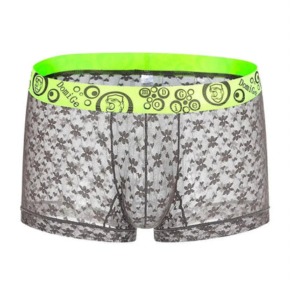 DomiGe DomiGe Mesh Boxers Net Sexy Male Underwear for Men