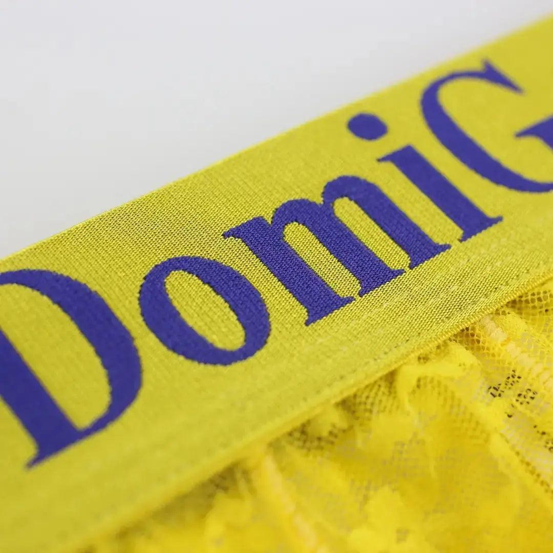 DomiGe DomiGe Mesh Boxers Net Sexy Male Underwear for Men