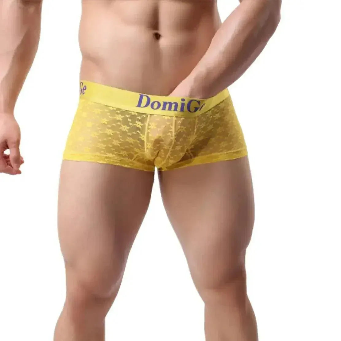 DomiGe DomiGe Mesh Boxers Net Sexy Male Underwear for Men