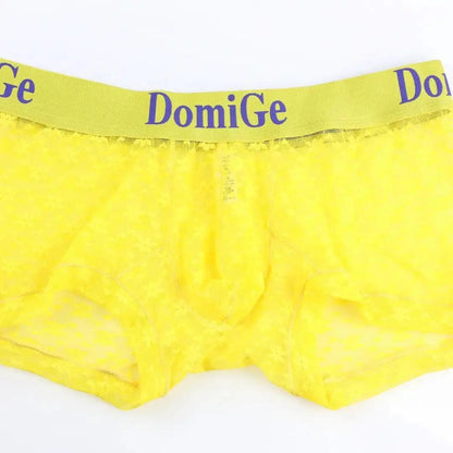 DomiGe DomiGe Mesh Boxers Net Sexy Male Underwear for Men