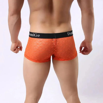 DomiGe DomiGe Mesh Boxers Net Sexy Male Underwear for Men