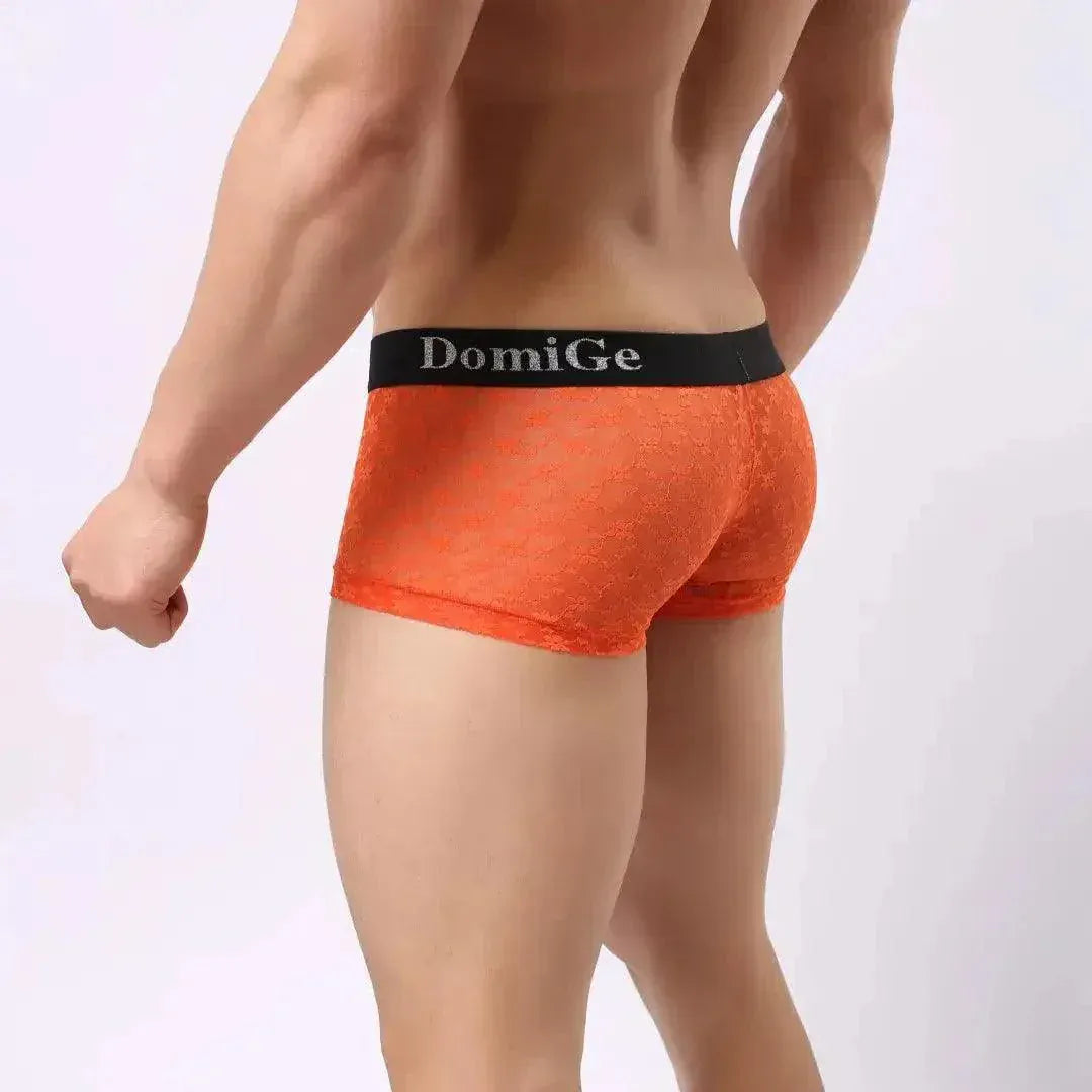 DomiGe DomiGe Mesh Boxers Net Sexy Male Underwear for Men