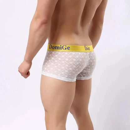 DomiGe DomiGe Mesh Boxers Net Sexy Male Underwear for Men
