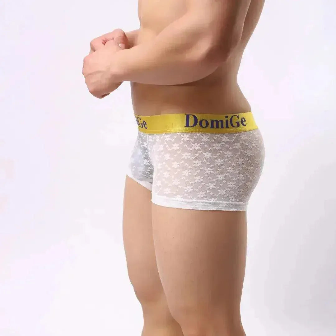 DomiGe DomiGe Mesh Boxers Net Sexy Male Underwear for Men