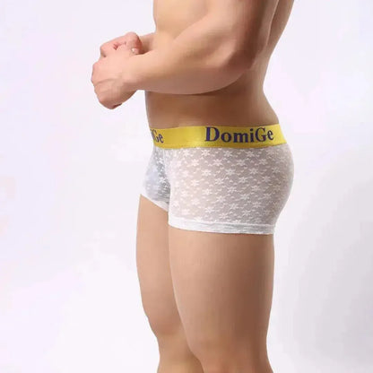 DomiGe DomiGe Mesh Boxers Net Sexy Male Underwear for Men