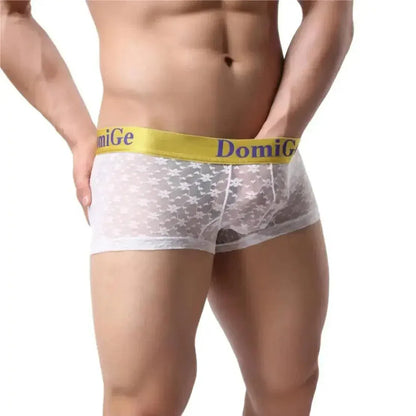 DomiGe DomiGe Mesh Boxers Net Sexy Male Underwear for Men