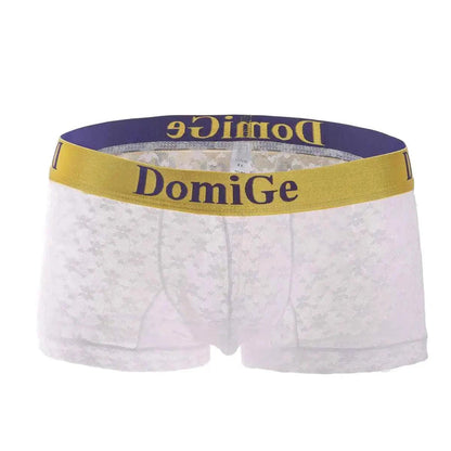 DomiGe DomiGe Mesh Boxers Net Sexy Male Underwear for Men