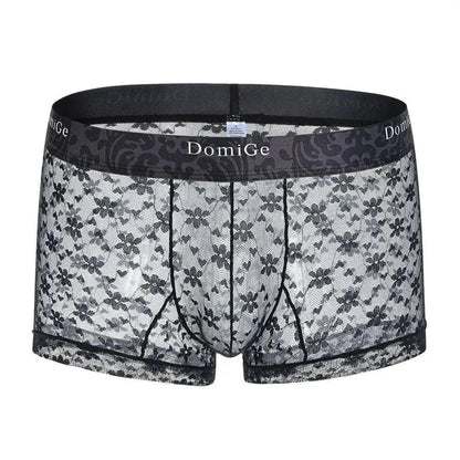 DomiGe DomiGe Mesh Boxers Net Sexy Male Underwear for Men