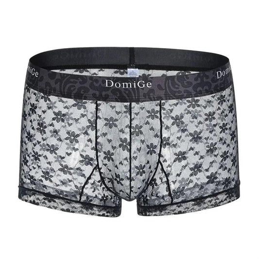 DomiGe DomiGe Mesh Boxers Net Sexy Male Underwear for Men