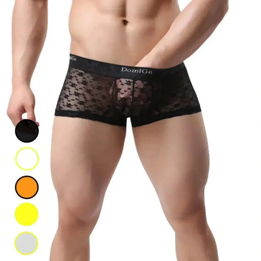 DomiGe DomiGe Mesh Boxers Net Sexy Male Underwear for Men