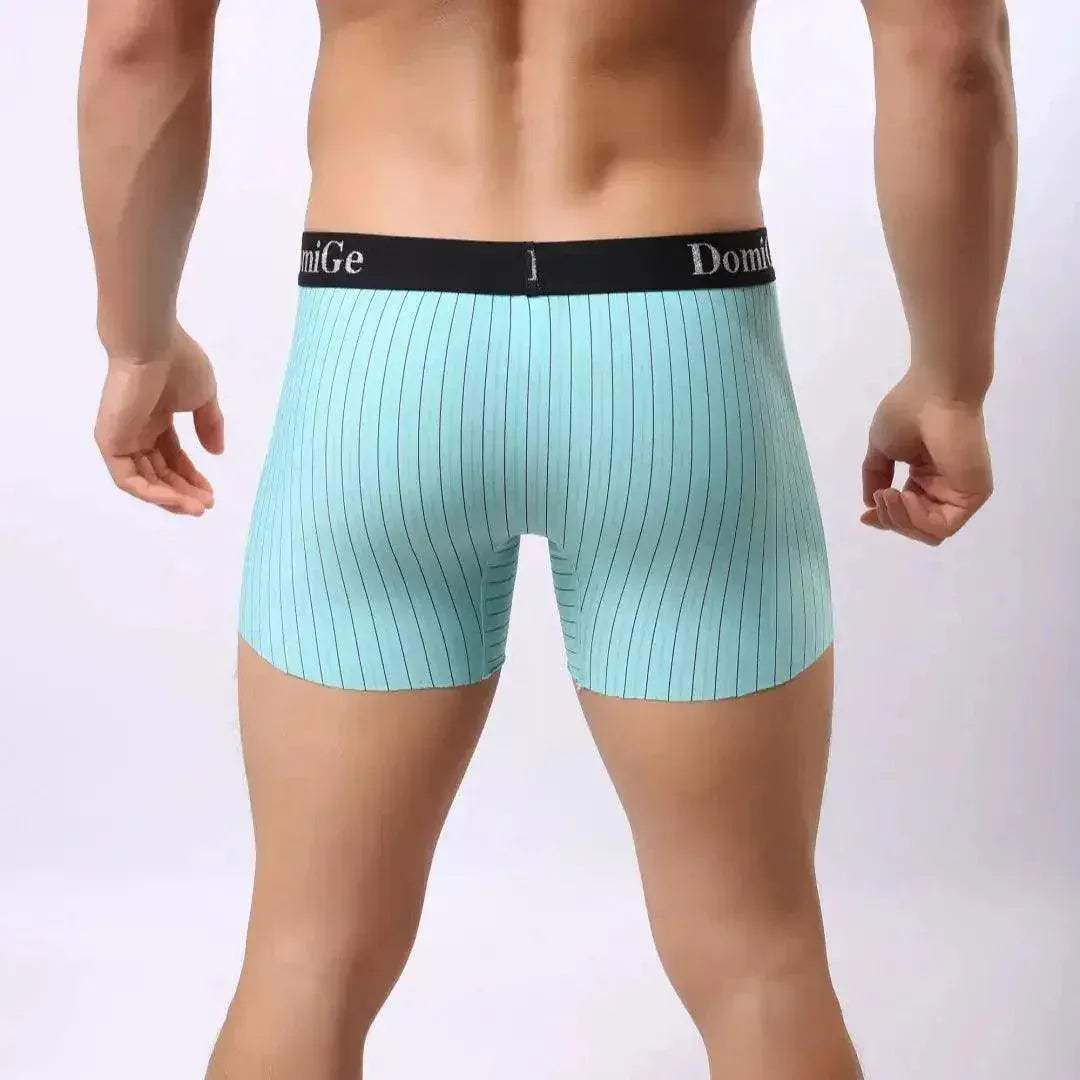 DomiGe DomiGe Striped Boxers Short Male Sheer Net Underwear
