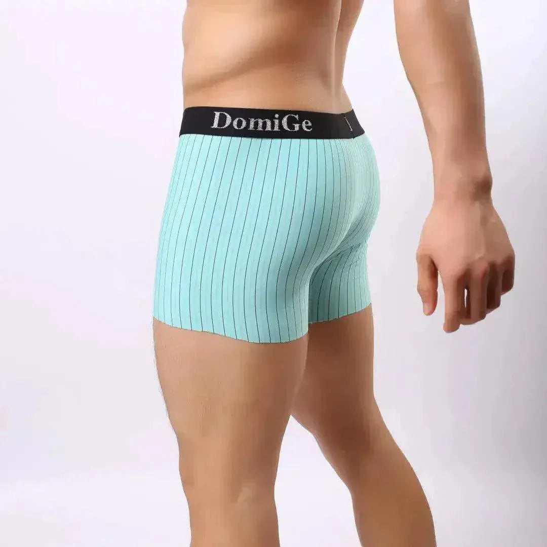 DomiGe DomiGe Striped Boxers Short Male Sheer Net Underwear