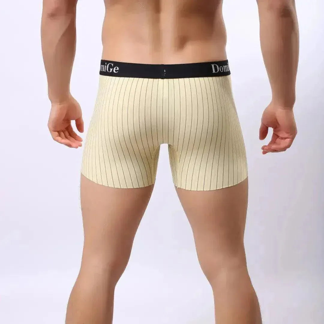 DomiGe DomiGe Striped Boxers Short Male Sheer Net Underwear