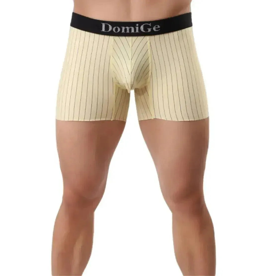 DomiGe DomiGe Striped Boxers Short Male Sheer Net Underwear