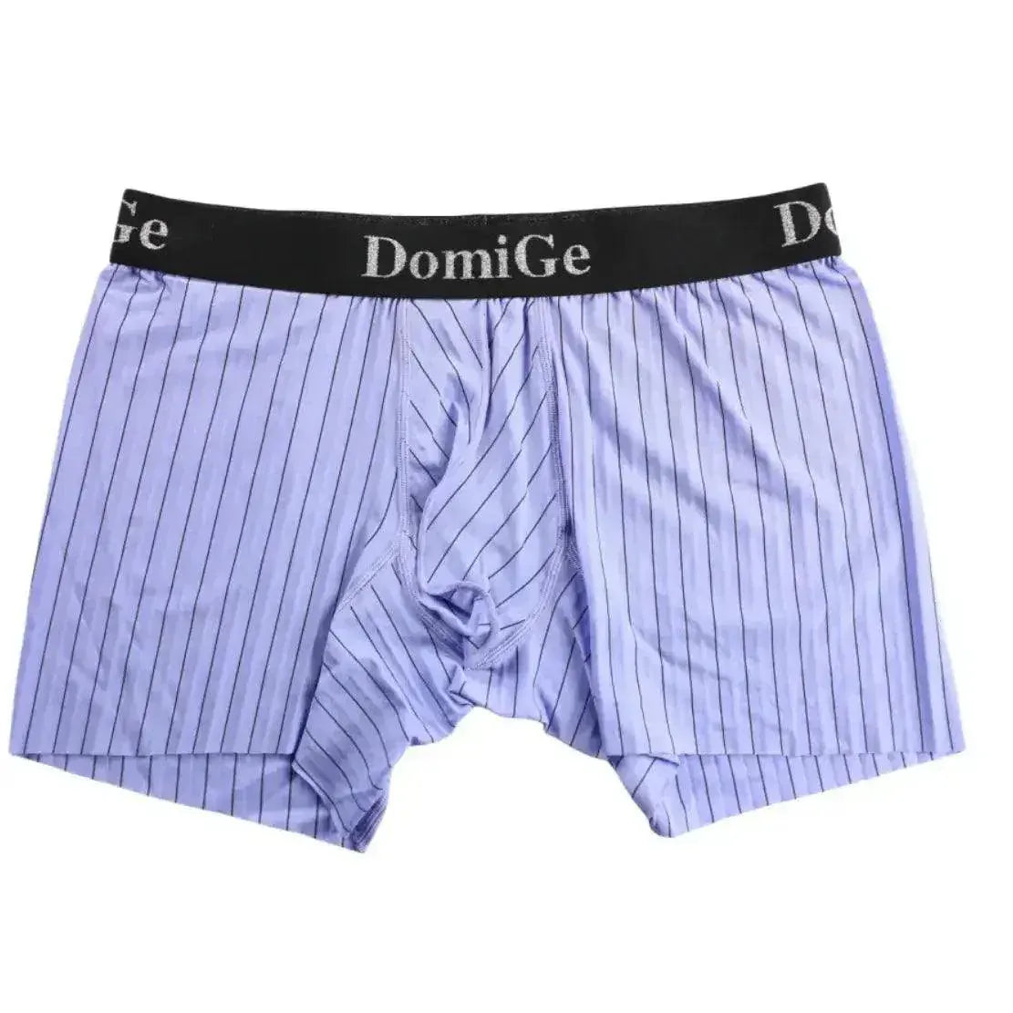 DomiGe DomiGe Striped Boxers Short Male Sheer Net Underwear