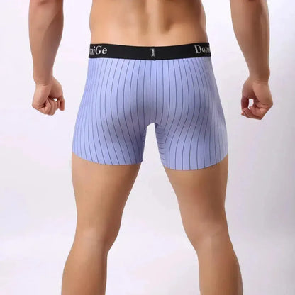 DomiGe DomiGe Striped Boxers Short Male Sheer Net Underwear