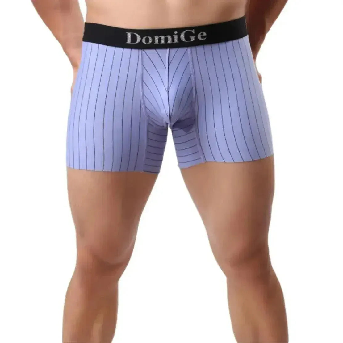 DomiGe DomiGe Striped Boxers Short Male Sheer Net Underwear