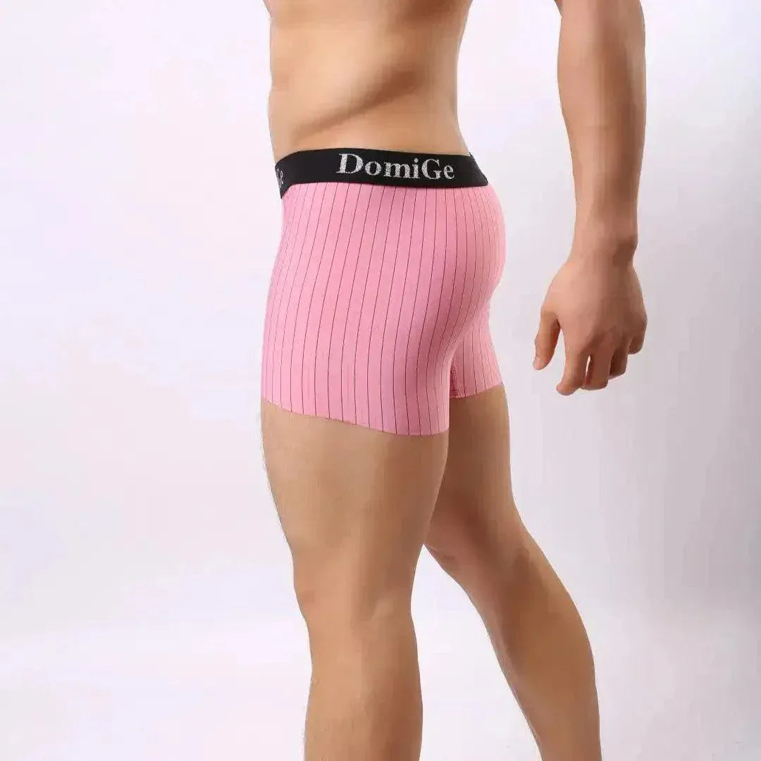 DomiGe DomiGe Striped Boxers Short Male Sheer Net Underwear