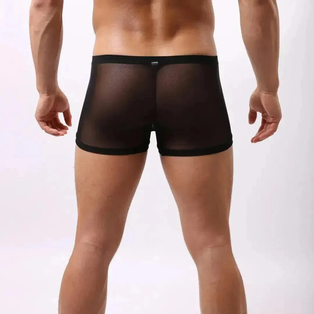 DomiGe DomiGe Stylish Men's Boxer Modal Lining Sheer Mesh Underwear