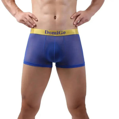 DomiGe DomiGe Tempt Sheer Men's Low Rise See-Through Mesh Underwear
