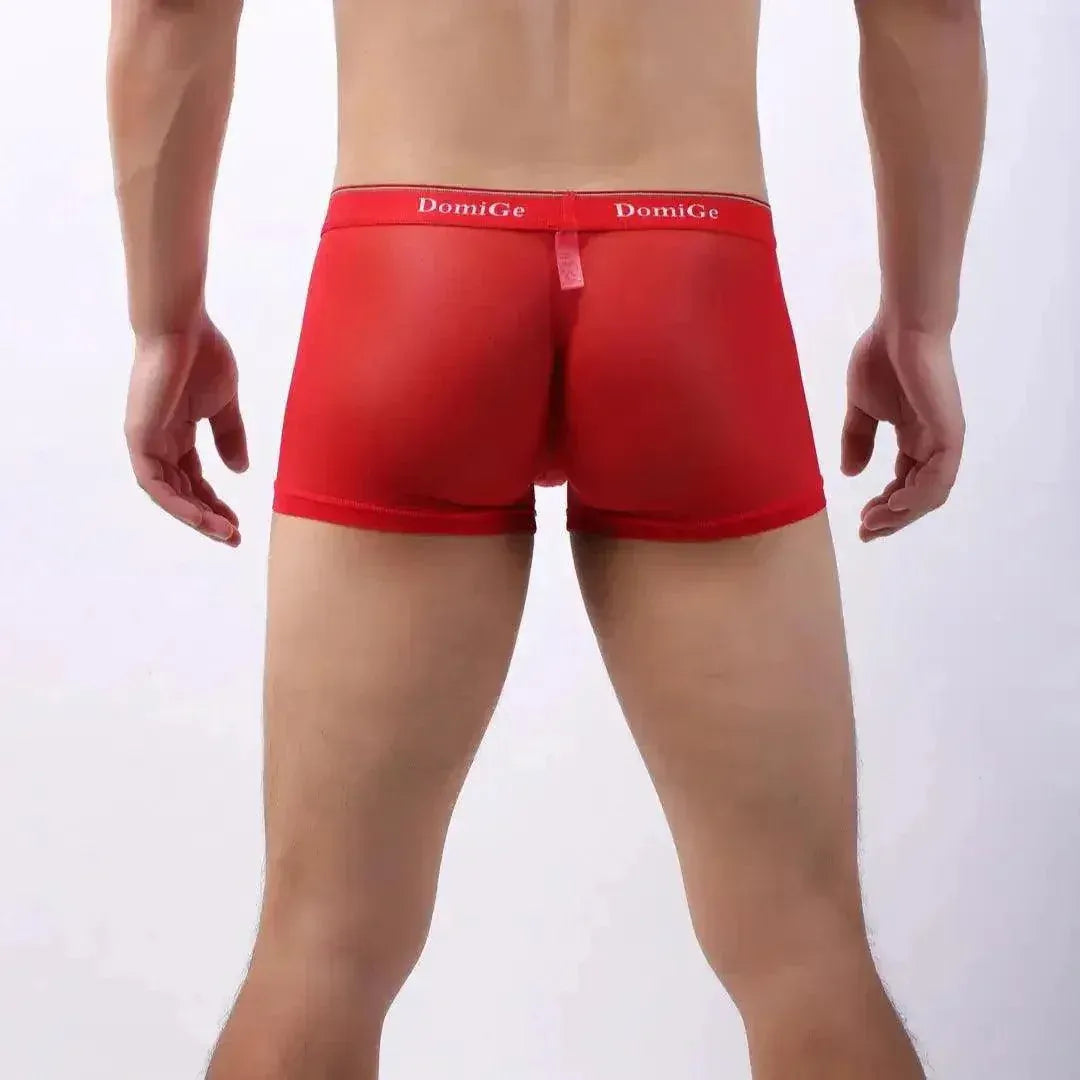 DomiGe DomiGe Tempt Sheer Men's Low Rise See-Through Mesh Underwear