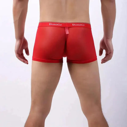 DomiGe DomiGe Tempt Sheer Men's Low Rise See-Through Mesh Underwear
