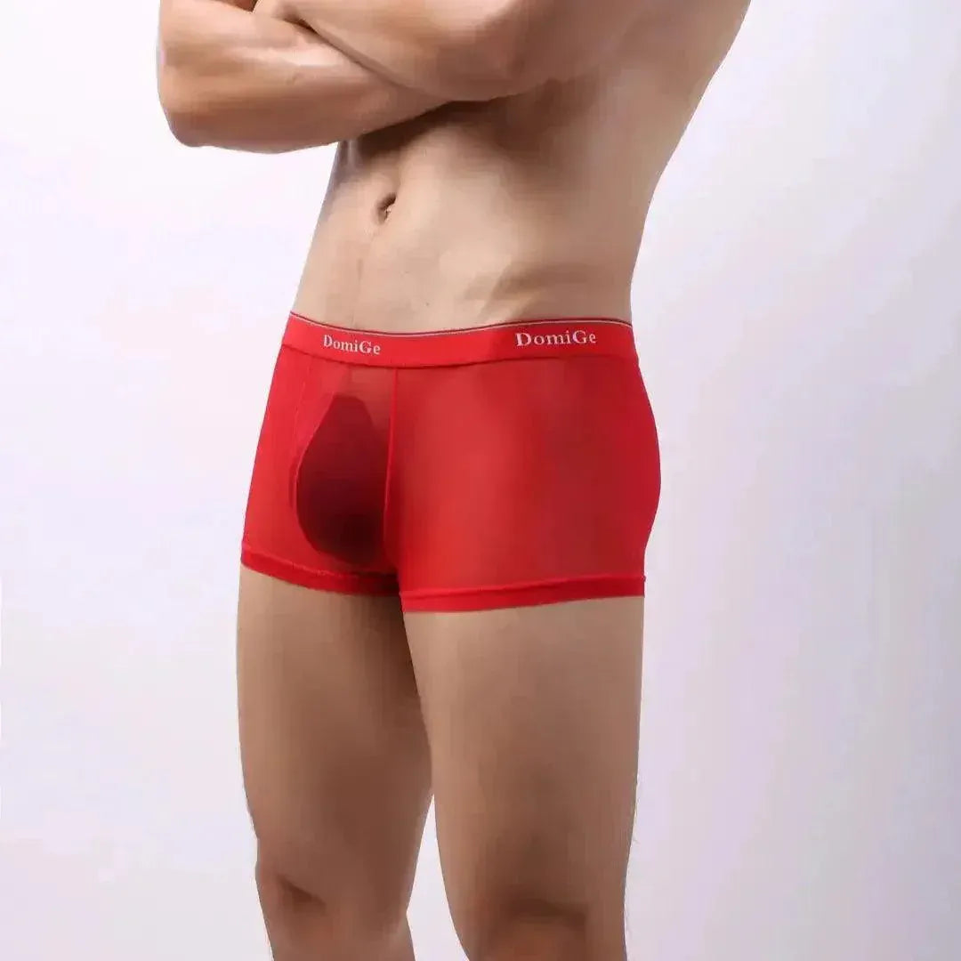 DomiGe DomiGe Tempt Sheer Men's Low Rise See-Through Mesh Underwear