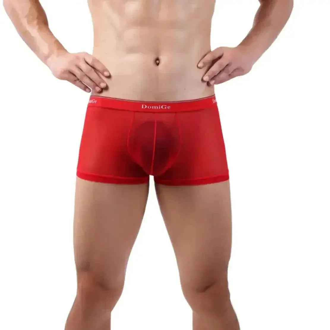 DomiGe DomiGe Tempt Sheer Men's Low Rise See-Through Mesh Underwear