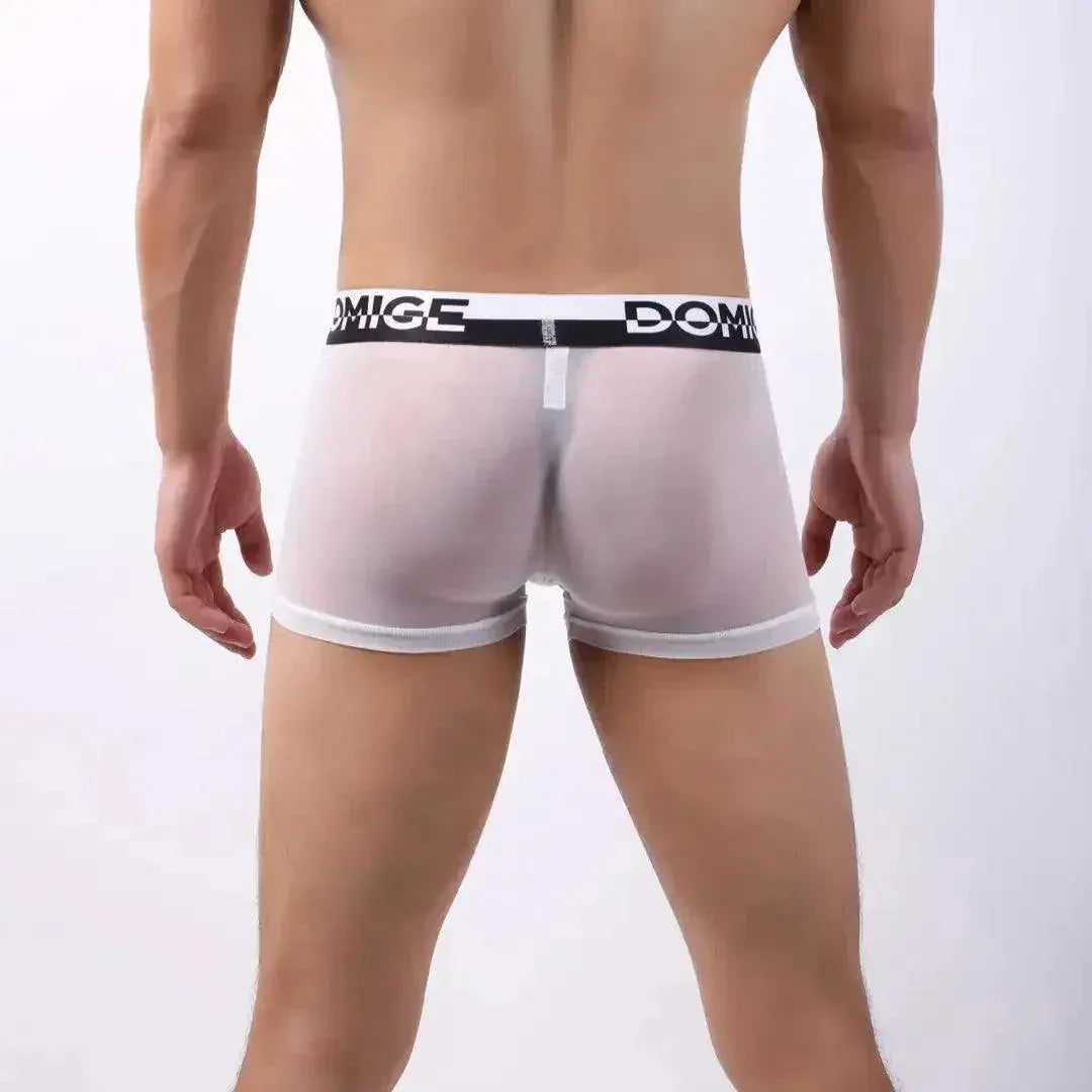DomiGe DomiGe Tempt Sheer Men's Low Rise See-Through Mesh Underwear