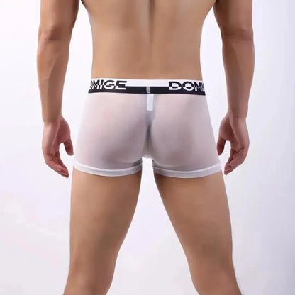 DomiGe DomiGe Tempt Sheer Men's Low Rise See-Through Mesh Underwear