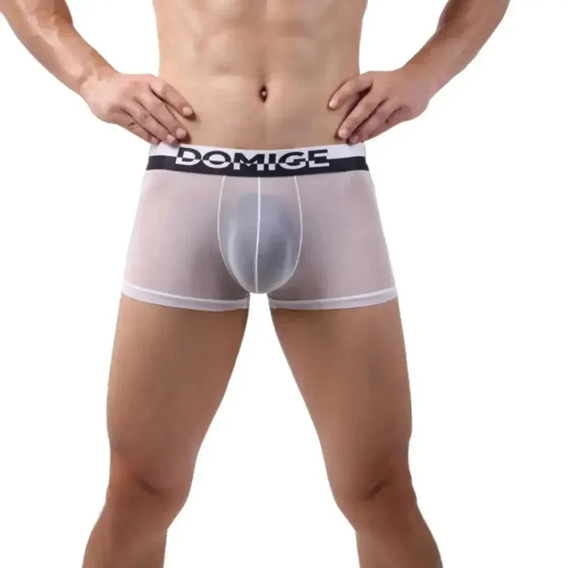 DomiGe DomiGe Tempt Sheer Men's Low Rise See-Through Mesh Underwear
