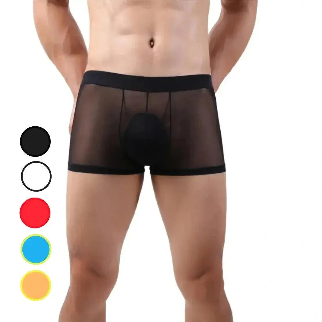 DomiGe DomiGe Tempt Sheer Men's Low Rise See-Through Mesh Underwear