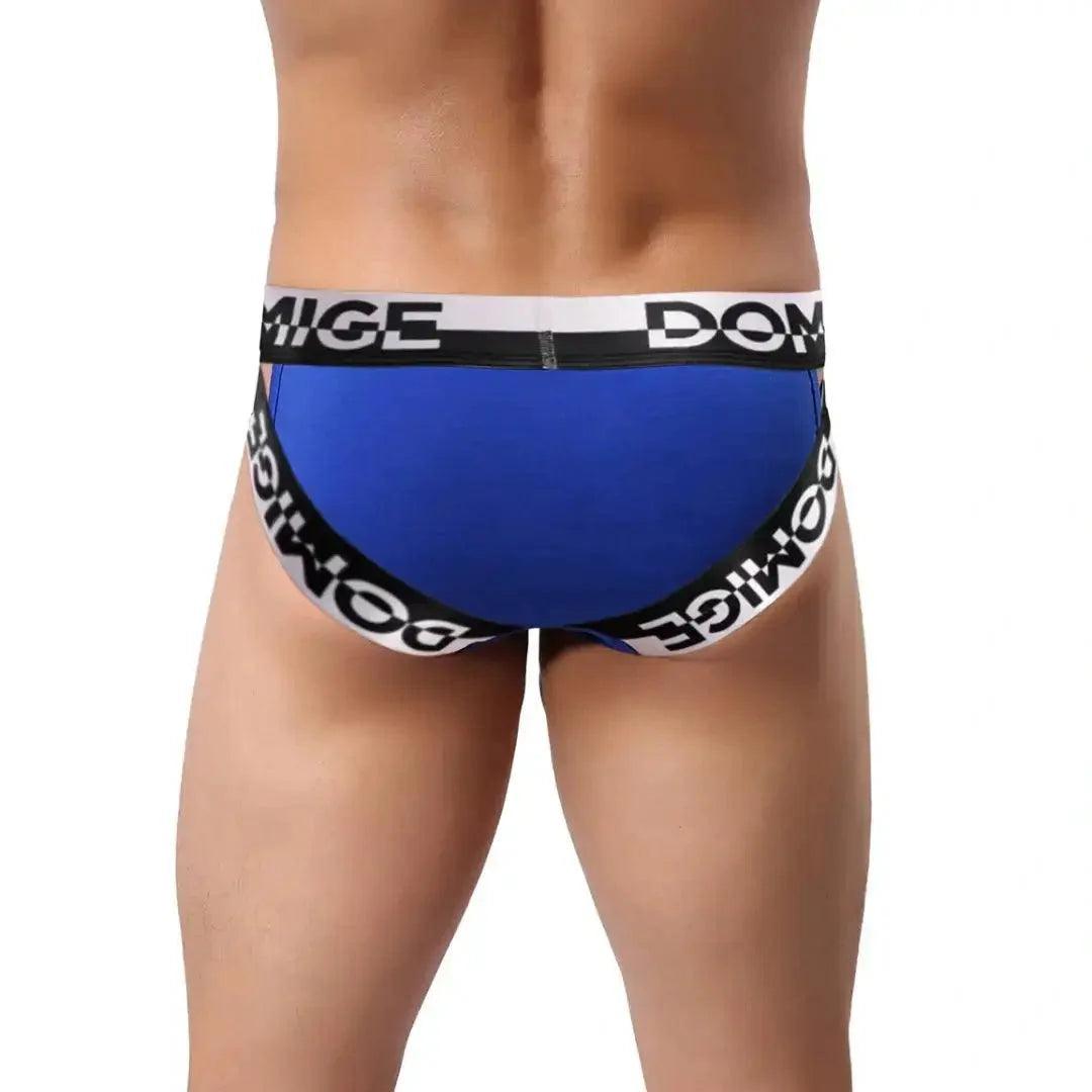 DomiGe Men's Underwear Briefs with Silver Logo Waistband - His Inwear