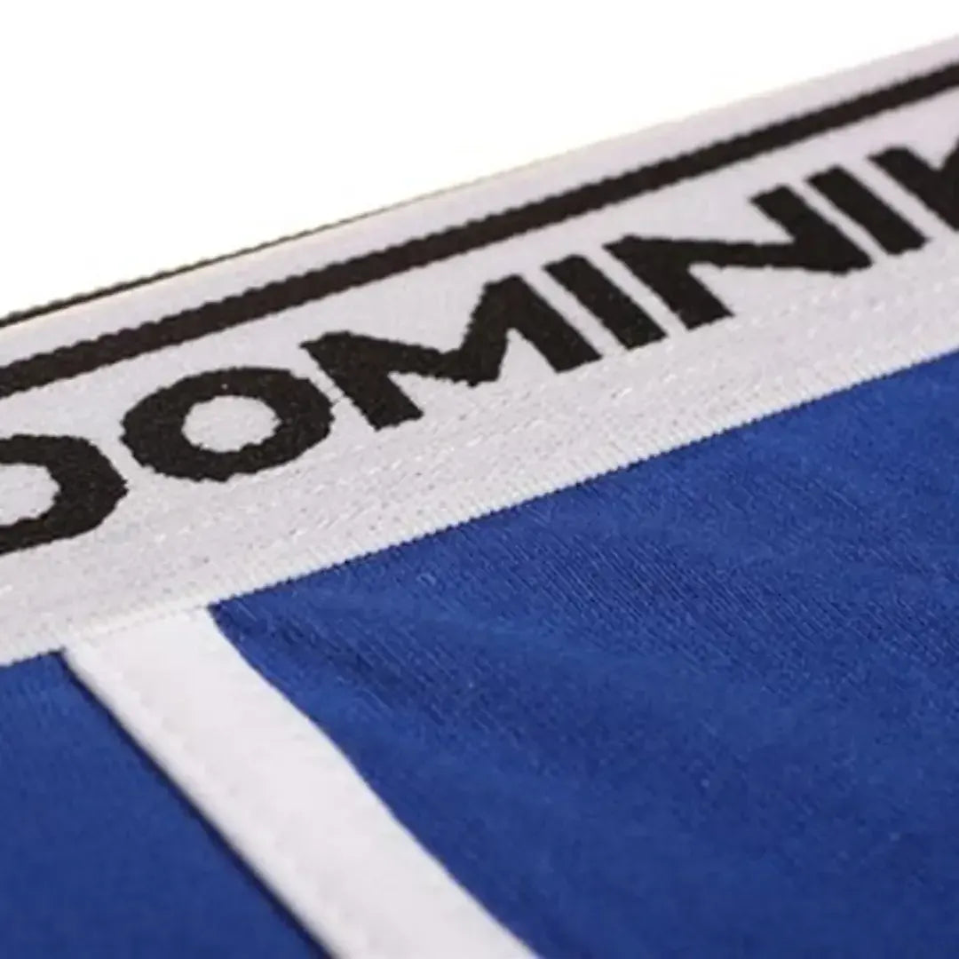 Dominik Dominik Men's Low-Rise Cotton Trunks Stylish Blue Undies for Men