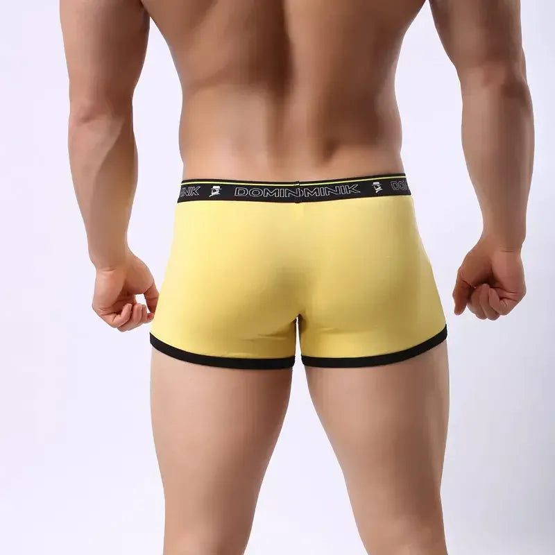Dominik Dominik Men's Mid-Rise Boxer Briefs - Modal U-Shaped Support