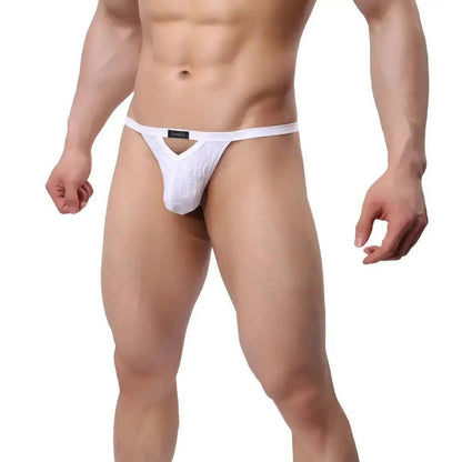 Men's Bamboo Fiber Thong with V-Cut Design T-Back - His Inwear