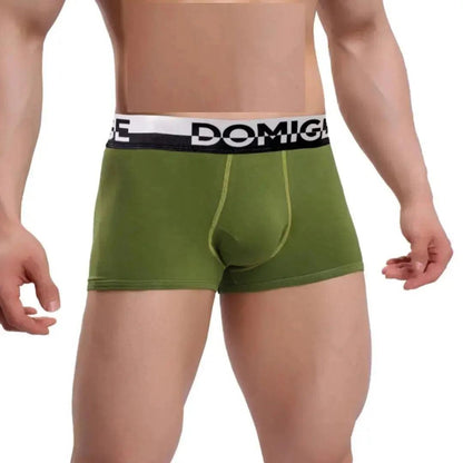 Men's Cotton Boxer Briefs with Silver Waistband and Turtle Shell Design Male Underwears - His Inwear